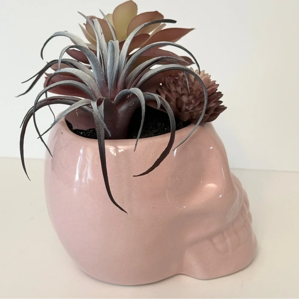 Pink Skull Planter with Faux Succulents